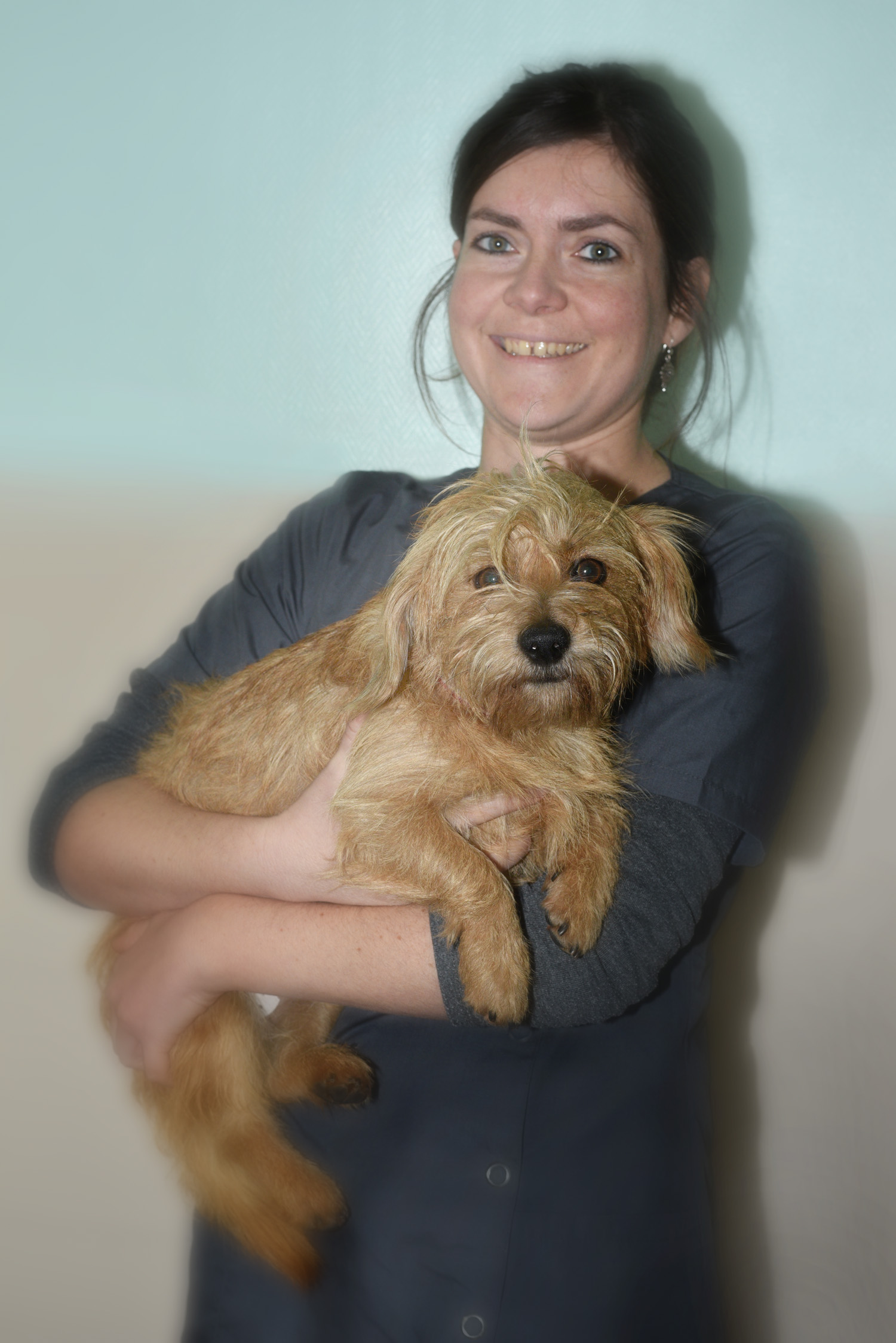 docteur clinique asv vétérinaire passerelle aurélie préaud grigny givors chasse sur rhone urgence animal