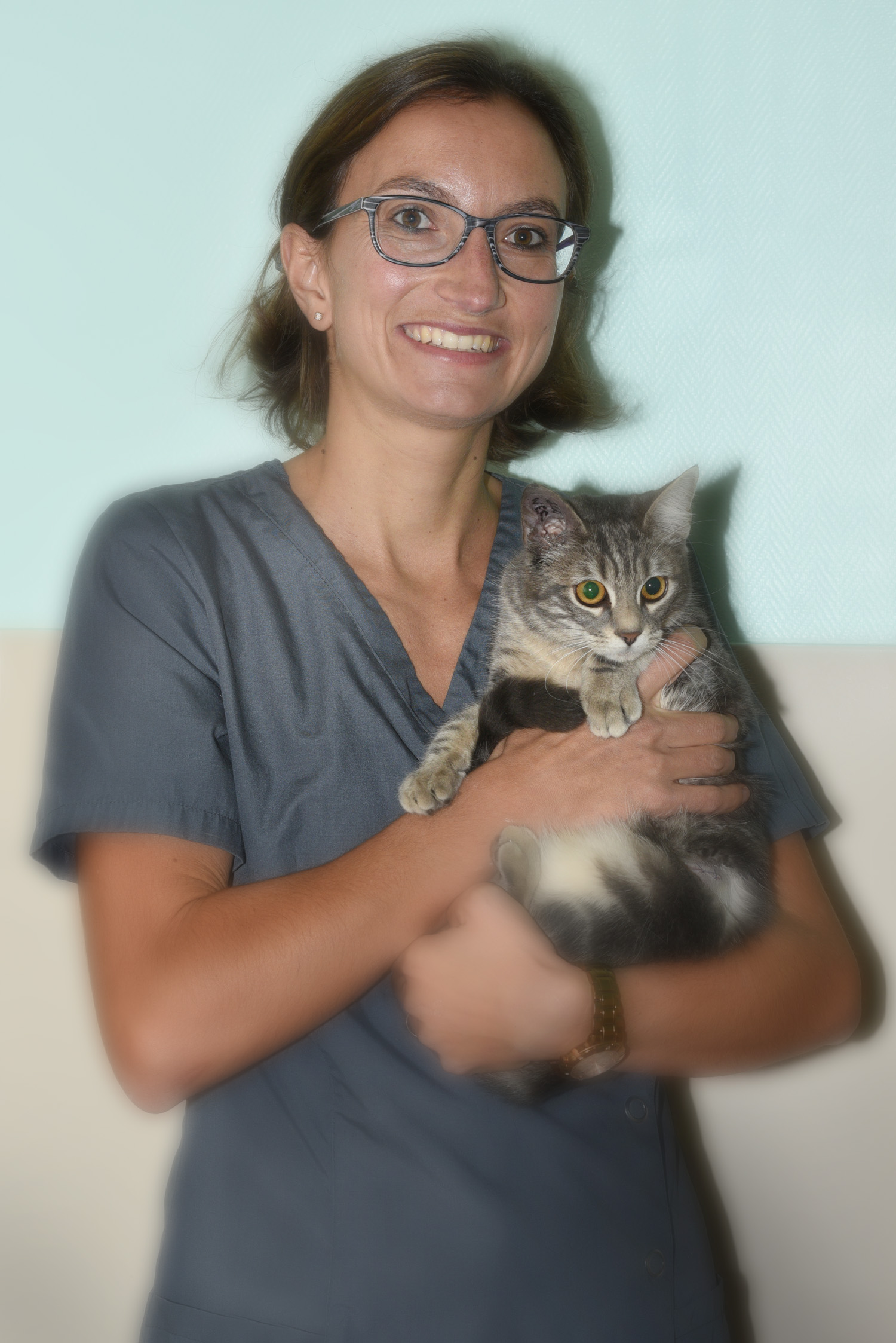 docteur clinique asv vétérinaire passerelle valérie bisch grigny givors chasse sur rhone urgence animal