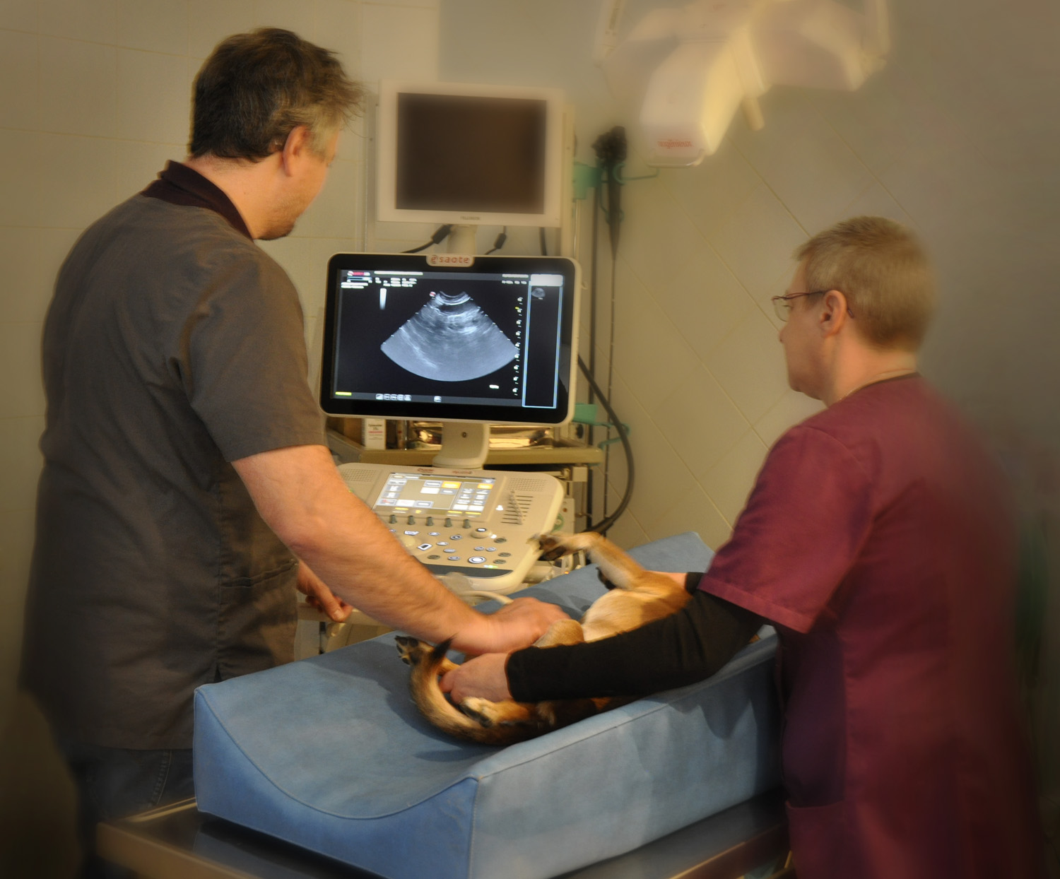 Nos Services La Clinique Veterinaire De La Passerelle A Givors Proche De Grigny Chasse Sur Rhone