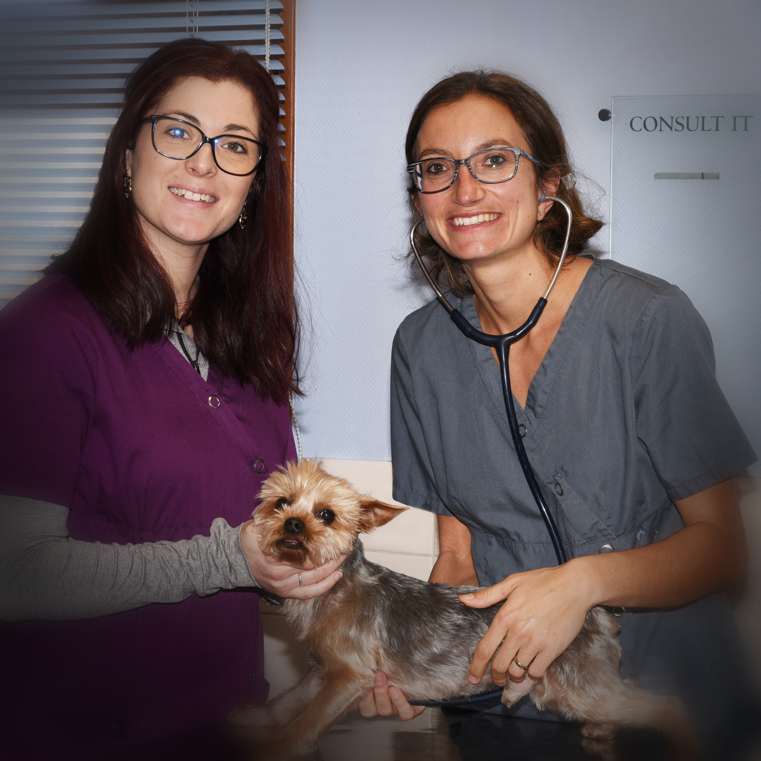 vétérinaire-véto-grigny-givors-chasse-urgence-animaux-animal-docteur-consultation