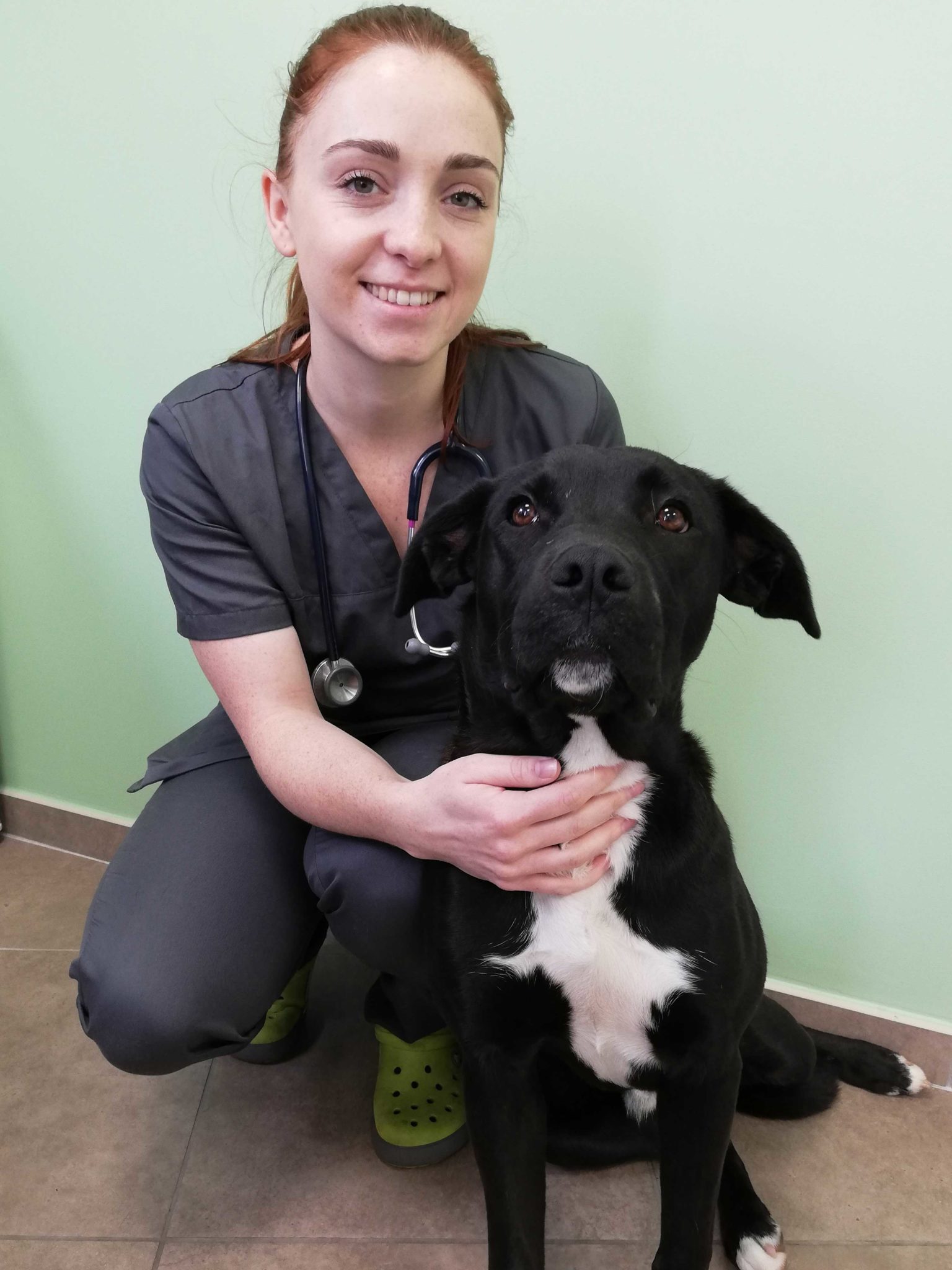 Clinique veterinaire passerelle givors grigny chasse sur rhone docteur mylene loire
